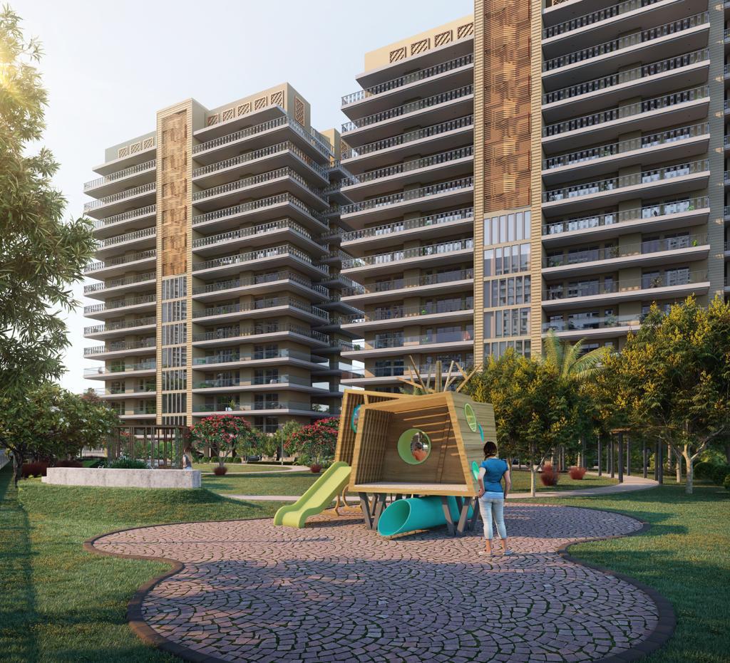 Play Area